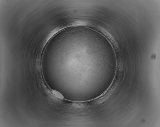 X0000098111473200804041332