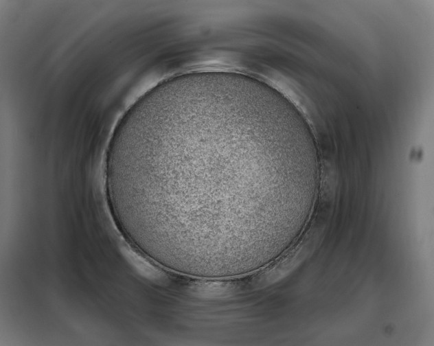 X0000098111474200804041332