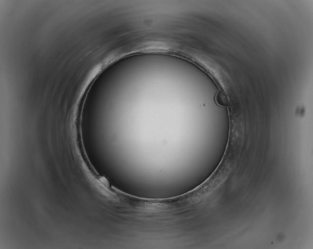 X0000098111475200804041332