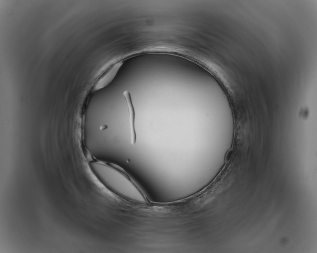 X0000098111476200804041332