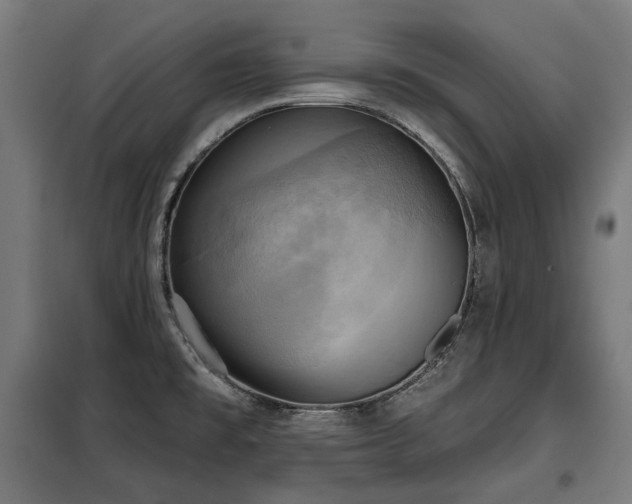 X0000098111477200804041332