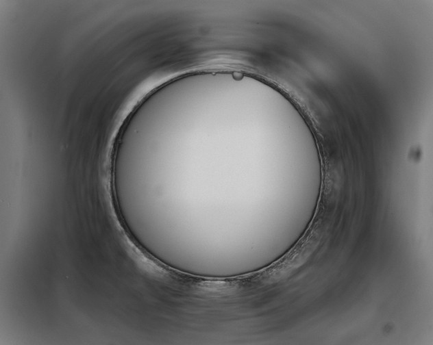 X0000098111478200804041332