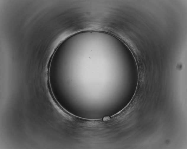 X0000098111479200804041332