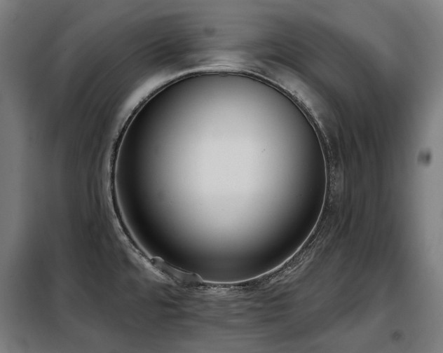 X0000098111480200804041332