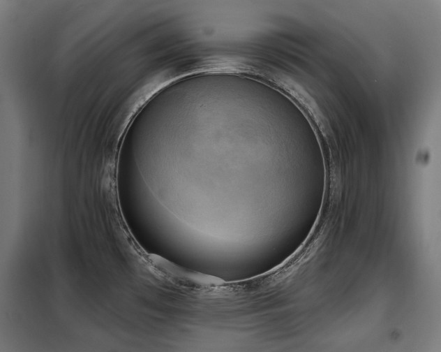 X0000098111481200804041332