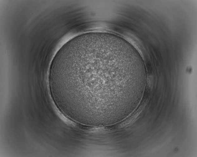 X0000098111482200804041332