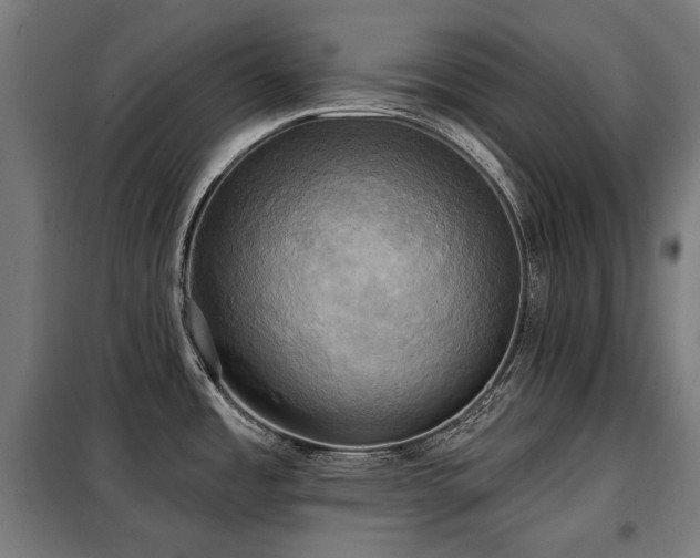 X0000098111485200804041332