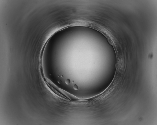 X0000098111487200804041332