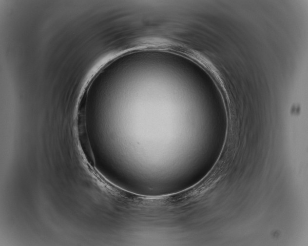 X0000098111488200804041332