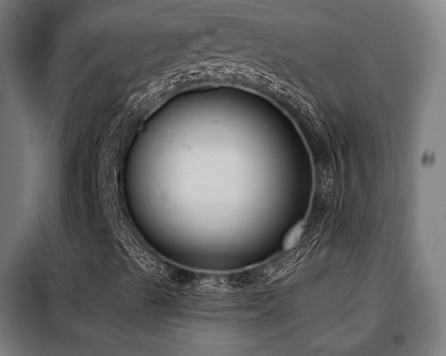 X0000098111489200804041331