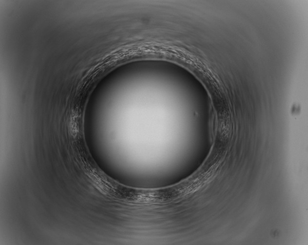X0000098111490200804041331
