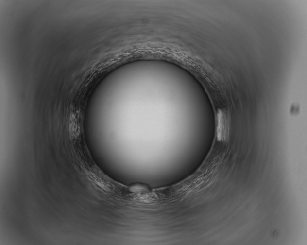 X0000098111491200804041331