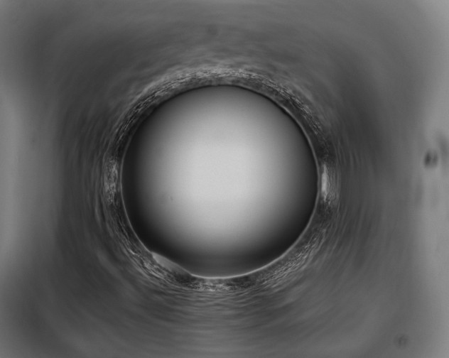 X0000098111492200804041331