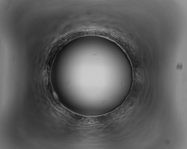 X0000098111493200804041331