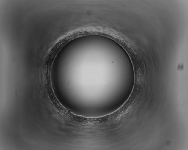 X0000098111494200804041331