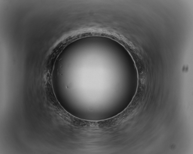 X0000098111495200804041331
