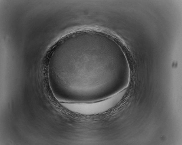X0000098111496200804041331