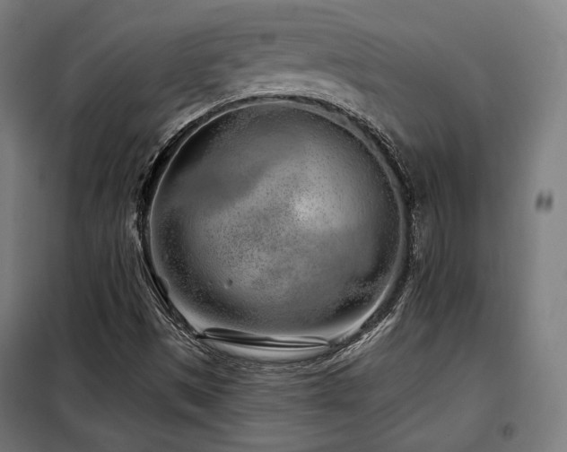 X0000098111497200804041331