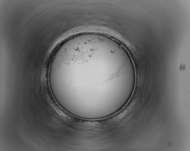 X0000098111498200804041331