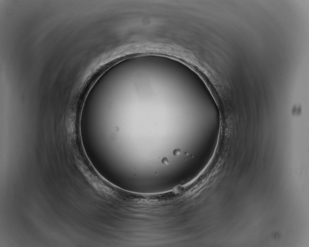 X0000098111499200804041331