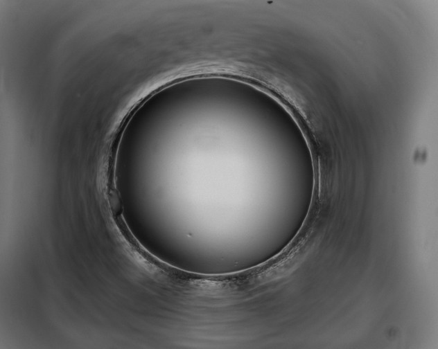 X0000098111500200804041331