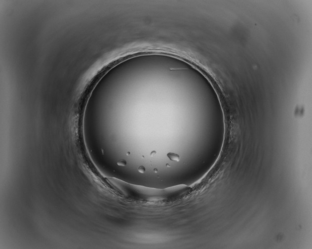 X0000098111503200804041331