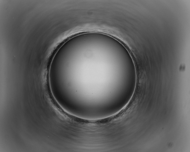 X0000098111507200804041332