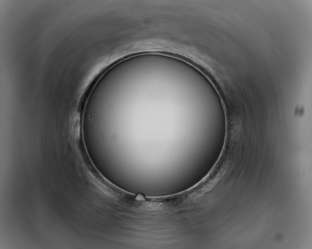 X0000098111509200804041332