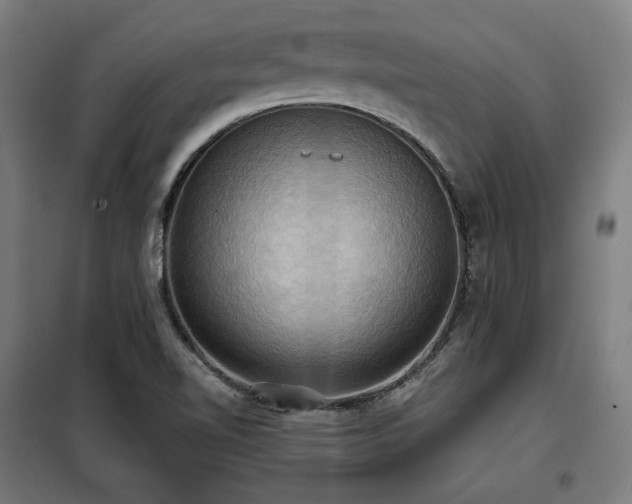 X0000098111510200804041332