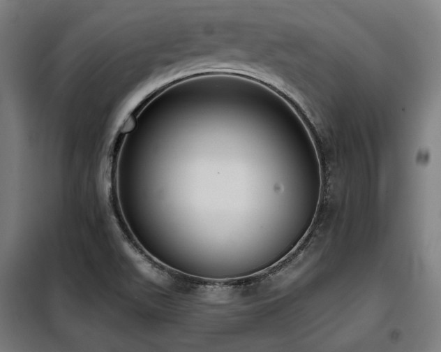 X0000098111511200804041332