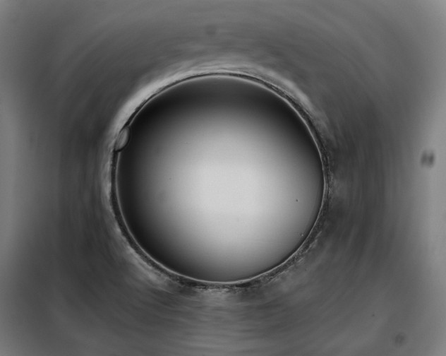 X0000098111512200804041332