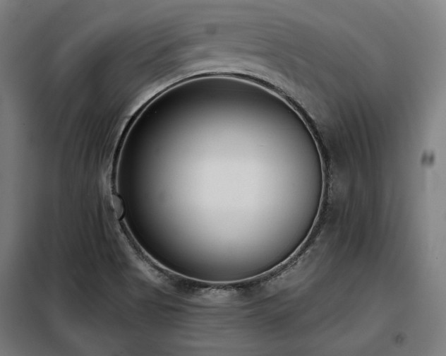 X0000098111513200804041332