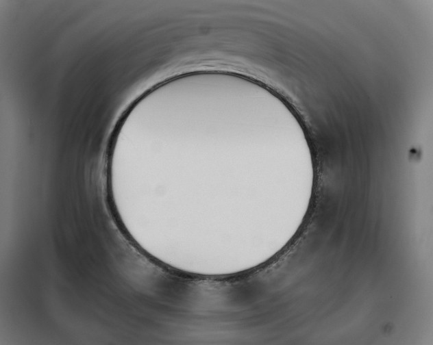 X0000098111514200804041332