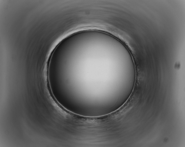 X0000098111516200804041332