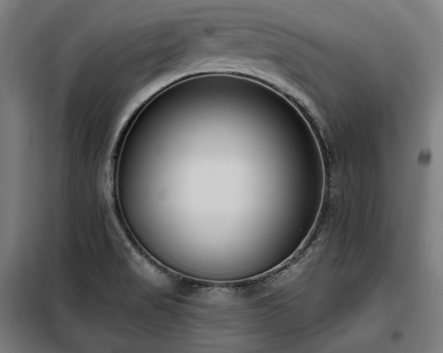 X0000098111517200804041332