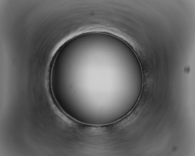 X0000098111518200804041332