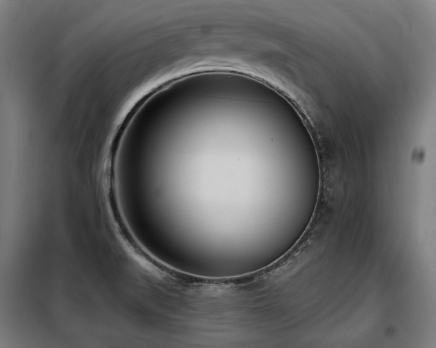 X0000098111519200804041332