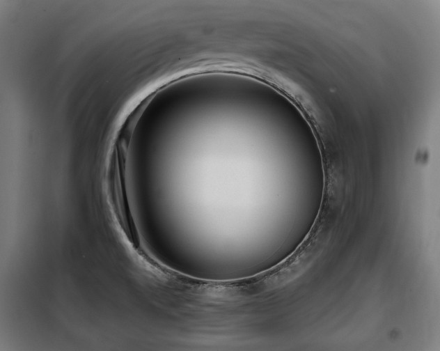 X0000098111520200804041332