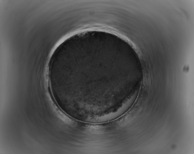 X0000098111522200804041332