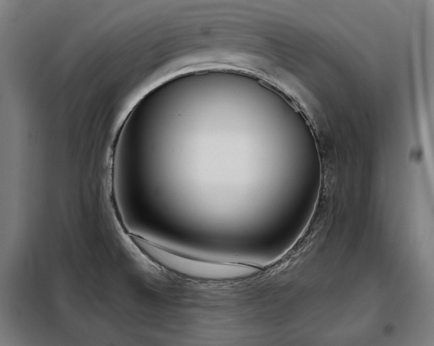 X0000098111524200804041332