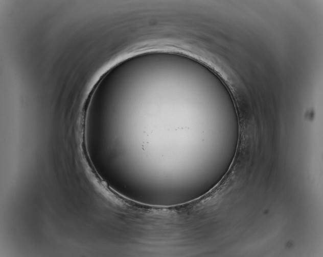 X0000098111526200804041332