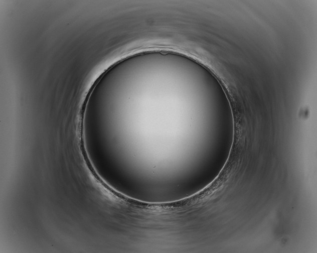 X0000098111527200804041332