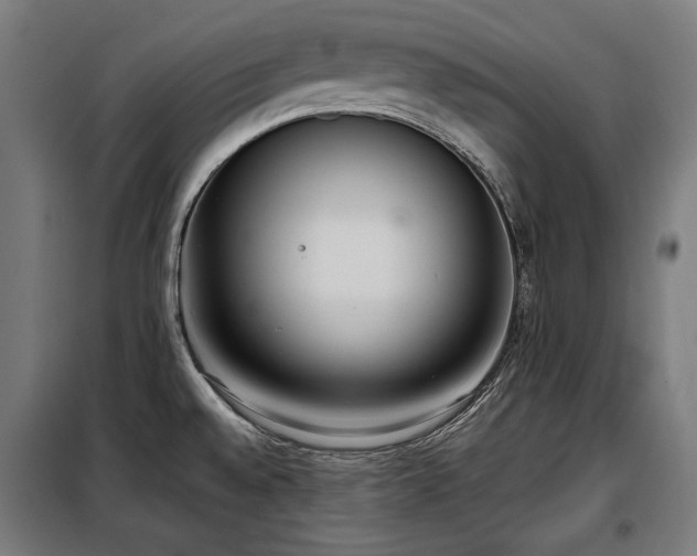 X0000098111528200804041332