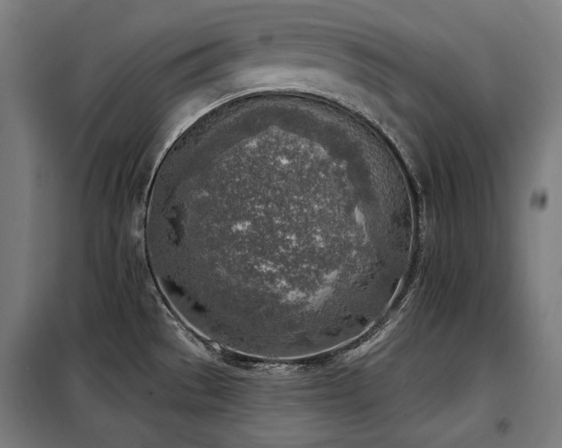 X0000098111529200804041332