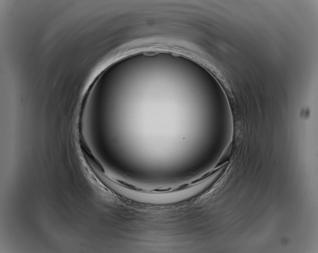 X0000098111530200804041332