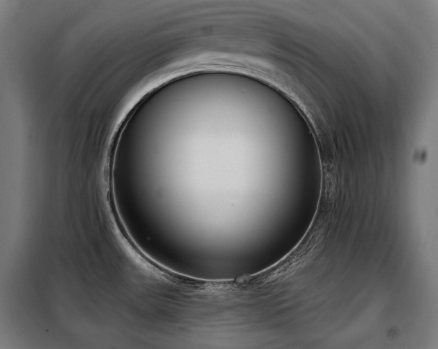 X0000098111531200804041332