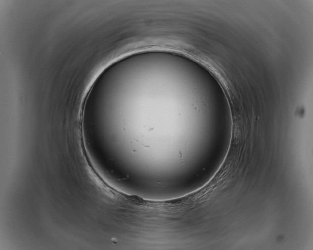 X0000098111532200804041332