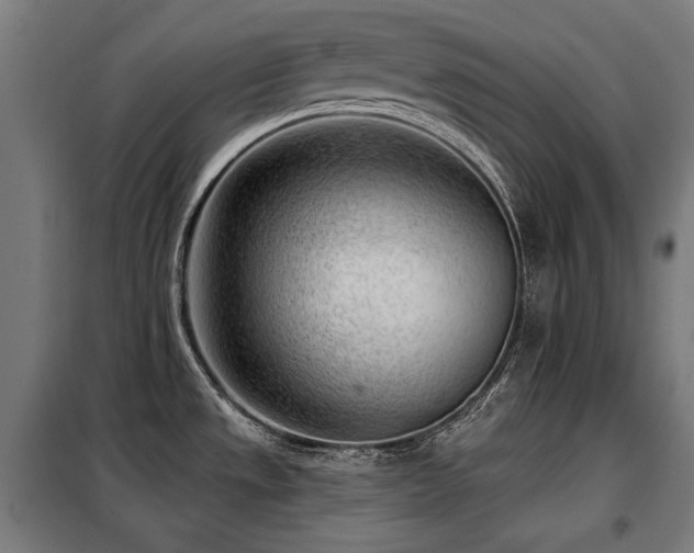 X0000098111533200804041332