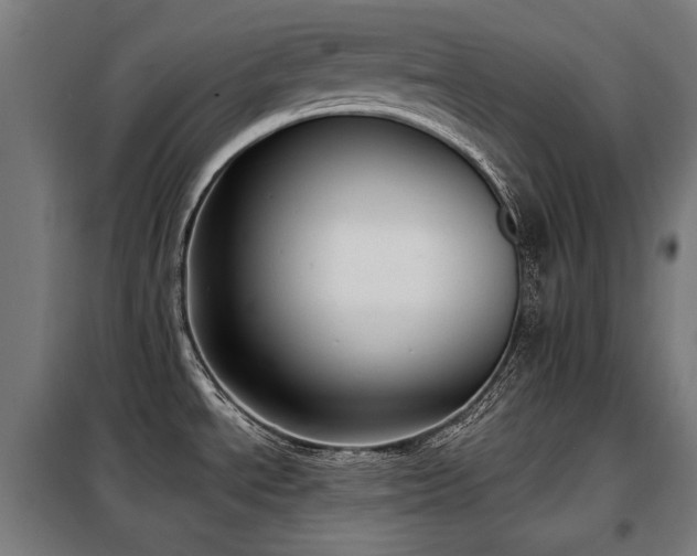 X0000098111534200804041332