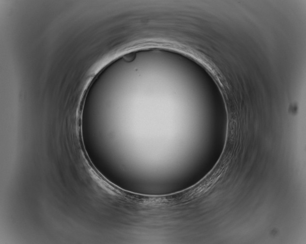 X0000098111535200804041332